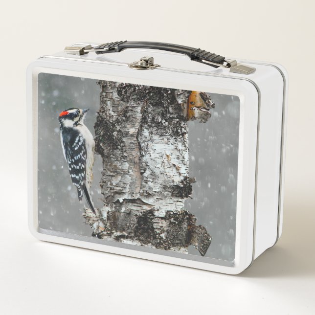 Downy Woodpecker in Snow - Original Foto Metall Brotdose (Vorderseite)