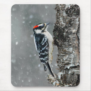 Downy Woodpecker in Snow - Original Foto Mousepad