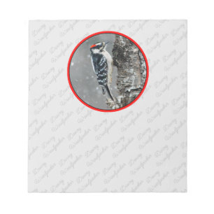 Downy Woodpecker in Snow - Original Foto Notizblock