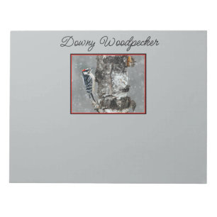 Downy Woodpecker in Snow - Original Foto Notizblock