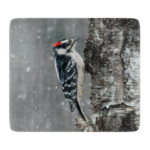 Downy Woodpecker in Snow - Original Foto Schneidebrett