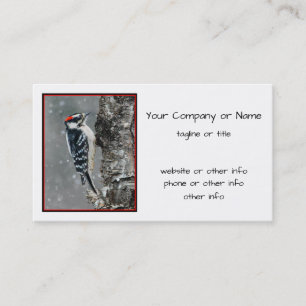 Downy Woodpecker in Snow - Original Foto Visitenkarte