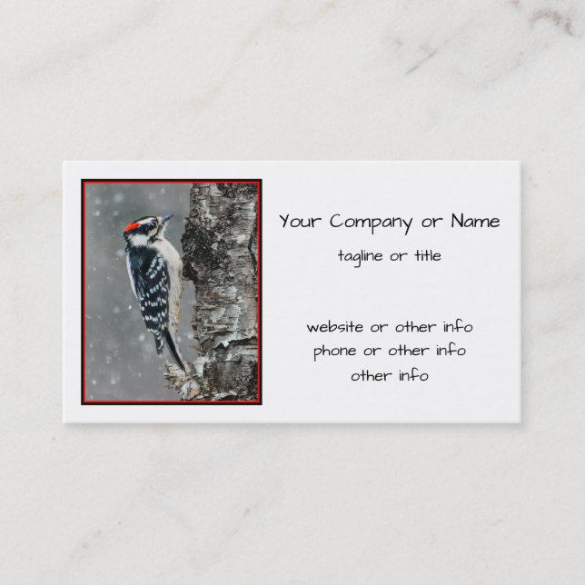 Downy Woodpecker in Snow - Original Foto Visitenkarte (Vorderseite)