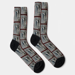 Downy Woodpecker in Winter Original Fotografie Socken