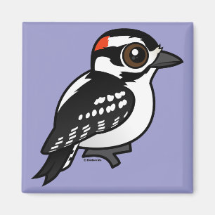 Downy Woodpecker Magnet