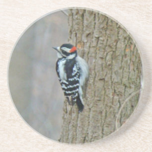 Downy Woodpecker Male Untersetzer