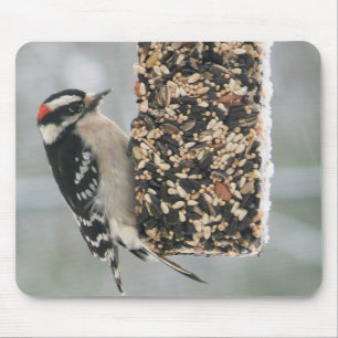 Downy Woodpecker-Mauspad Mousepad