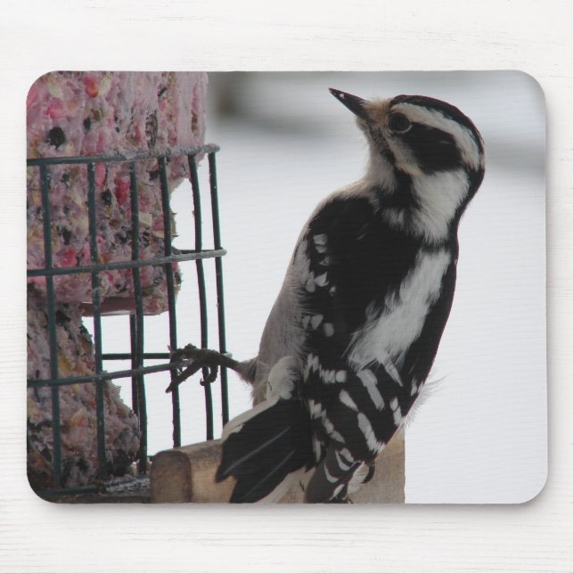 Downy Woodpecker Mousepad (Vorne)