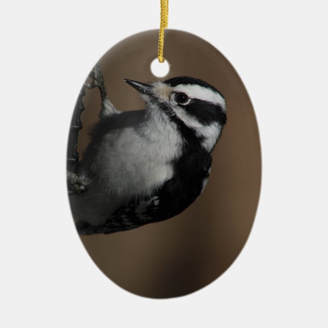 Downy Woodpecker-Ornament Keramik Ornament (Vorne)