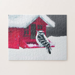 Downy Woodpecker Painting - Original Bird Art