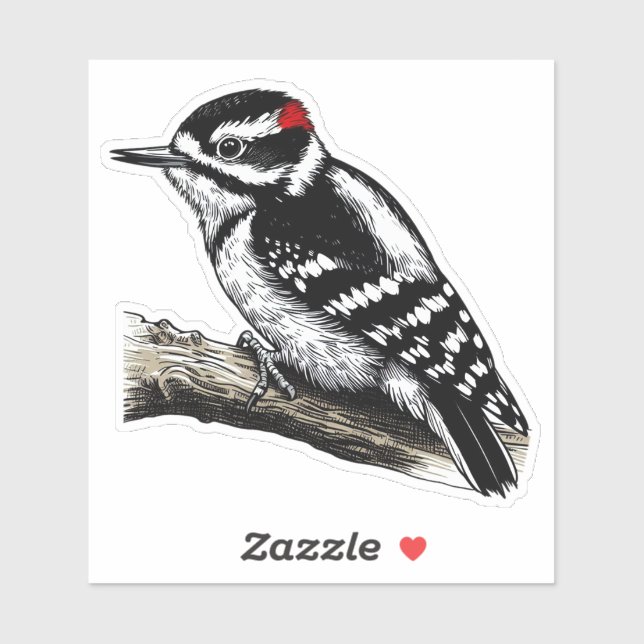 Downy Woodpecker Vogel Custom Cut Vinyl Sticker (Blatt)
