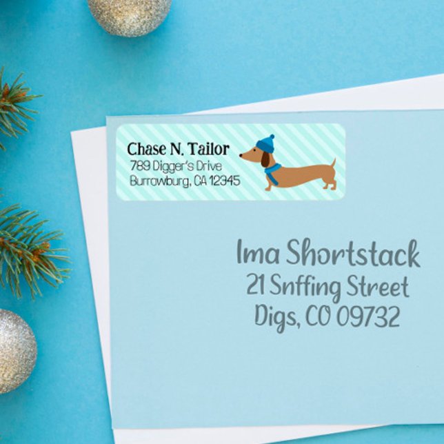 Doxie Christmas Blue Étiquettes de adresse (
Dachshund Christmas address labels
)