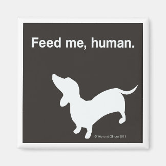 Doxie Feed Me Magnet noir