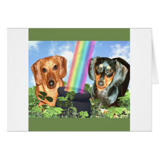 Doxies de la fête St. Patricts