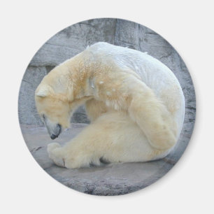 Dozing Polar Magnet