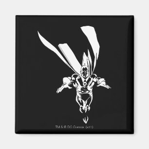 Dr. Fate Flying Kontur Magnet