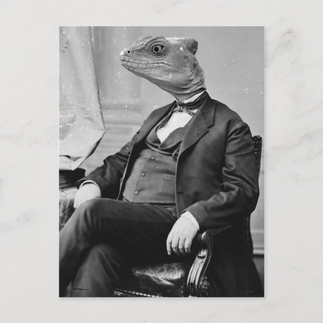 Dr. Lizard Postkarte (Vorderseite)