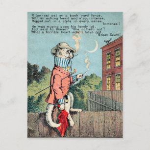 Dr. Morse Cat Trade Card #1 (von 4) Postkarte