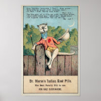 Dr. Morse Cat Trade Card #2 (von 4)