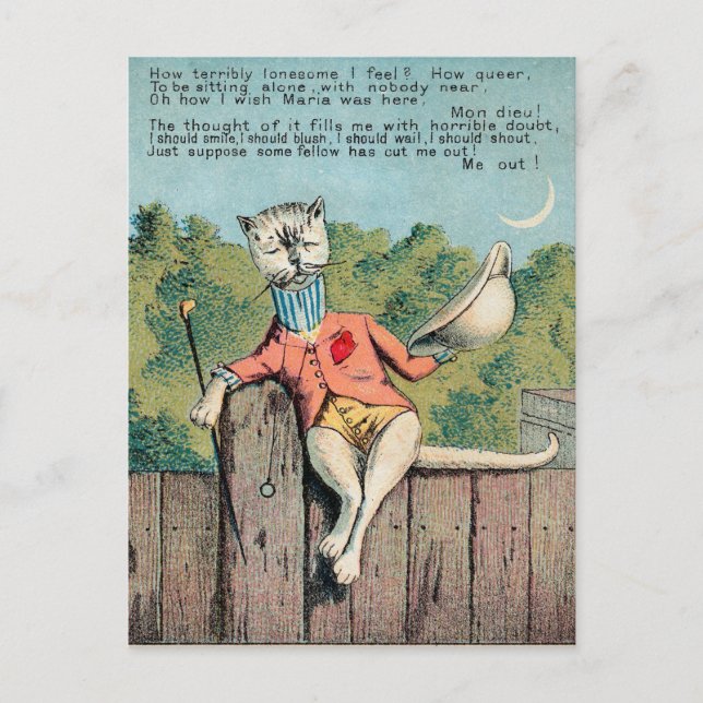 Dr. Morse Cat Trade Card #2 (von 4) Postkarte (Vorderseite)