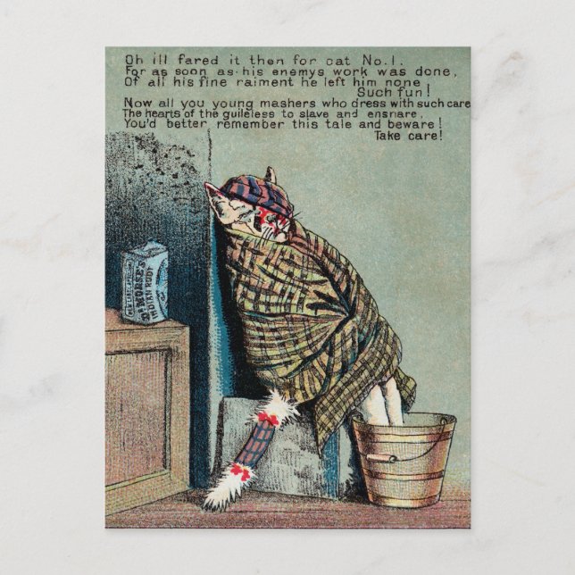 Dr. Morse Cat Trade Card #4 (von 4) Postkarte (Vorderseite)