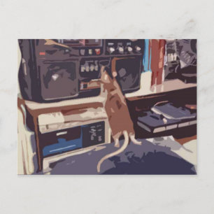 Drac und Stereo Postkarte