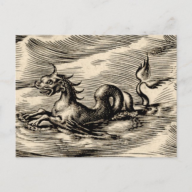 Drache am Äquator Postkarte (Vorderseite)