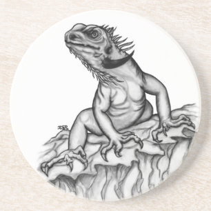 Drache auf dem Felsen Getränkeuntersetzer