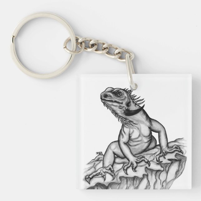 Drache auf dem Felsen Schlüsselanhänger (Vorderseite)