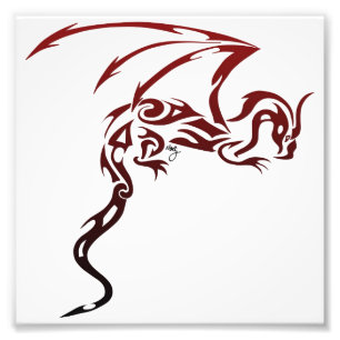 Drache drucken fotodruck