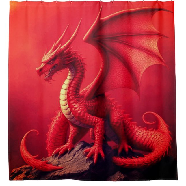 DRACHE DUSCHVORHANG (Vorderseite)