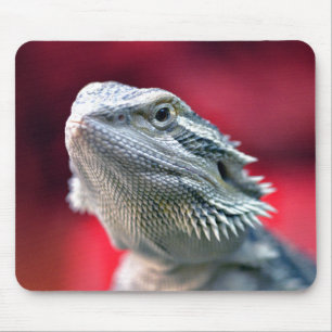 Drache HauptMousepad Mousepad