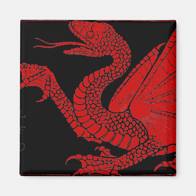Drache-Magnet Magnet (Vorne)