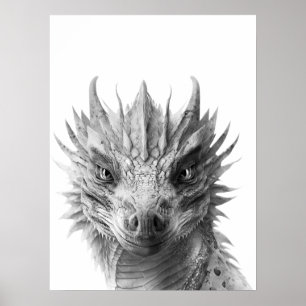 Drache Realistisches Porträt Kinderzimmer  Poster