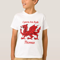 Drache Thomas Waliser