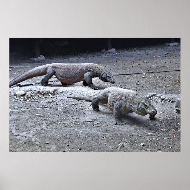 Drachen auf Patrol Poster (Vorne)