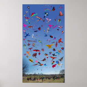 Drachen-Drachen-Drachen im Himmel Poster