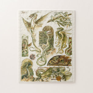 Drachen, Jugendstil-Illustration von Anton Seder J