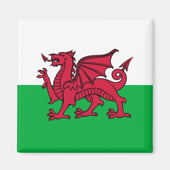 Drachenflagge Wales, keltisch-walisische Nationalf Magnet (Vorne)