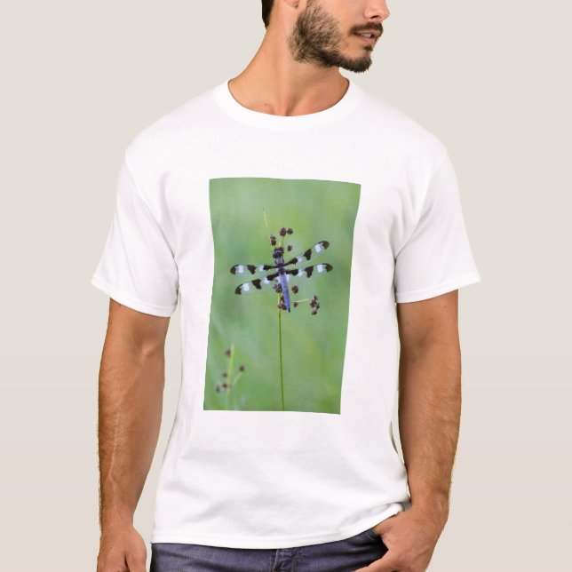 Drachenfliege auf Gras, Kanada T-Shirt (Vorderseite)