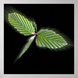 Drachenfliegenförmige Blätter Poster