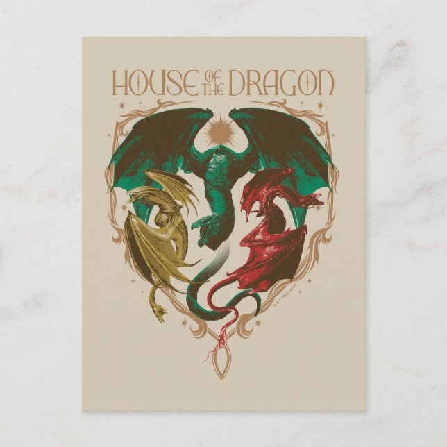 Drachenhaus | Drachenschild Postkarte (Vorderseite)