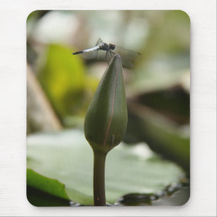 Drachenmuschel Mousepad