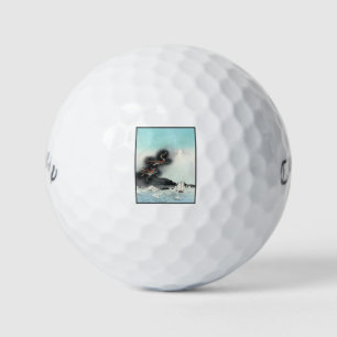 Drachenzorn-Seeschlacht um den Fuji, Japan Golfball