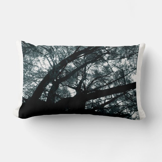 Dracheweideträume Lendenkissen (Vorderseite)