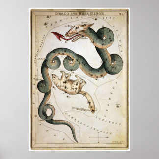 Draco und Ursa Minor Poster