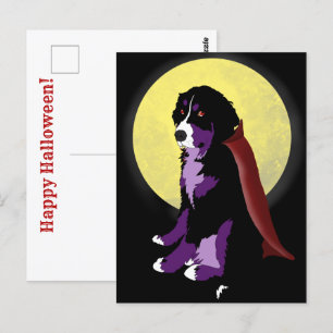 Dracula Bernese Mountain Dog Halloween Postkarte