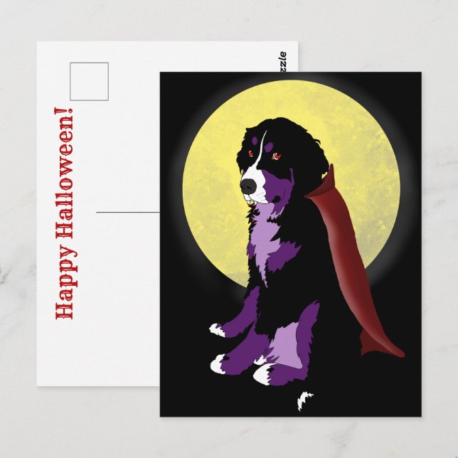 Dracula Bernese Mountain Dog Halloween Postkarte (Vorne/Hinten)