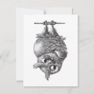 Dracula Owl Cool und so Beängstigend Postkarte