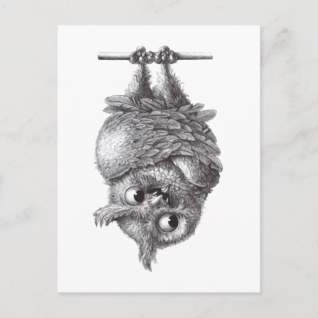 Dracula Owl Cool und so Beängstigend Postkarte (Vorderseite)